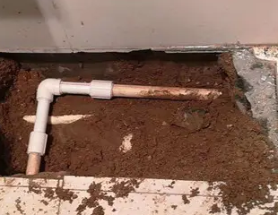 博野县测漏水哪家好